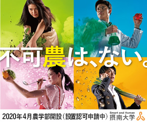 setsunanへのリンク